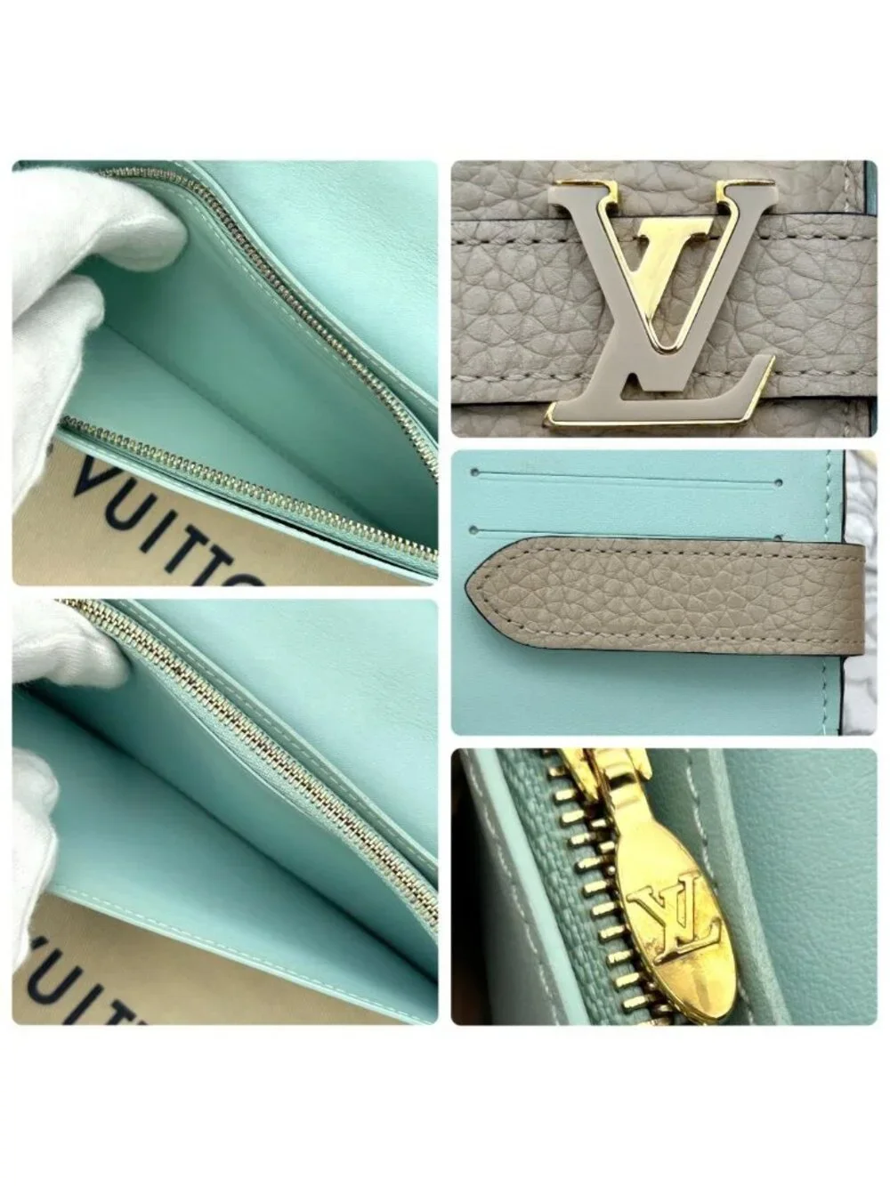 Louis Vuitton LV Vertical Wallet Capucines